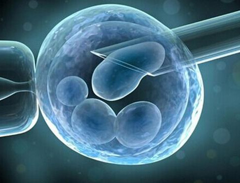 有偿孕妈借卵代怀咨询微信群生殖医学中心